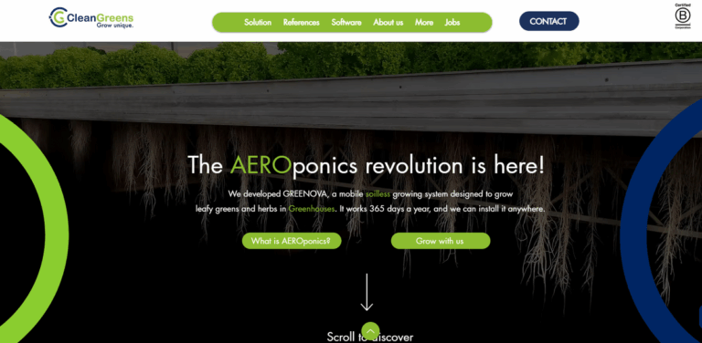 CleanGreens Solutions: Innovative Soilless Growing for Leafy Greens and Herbs