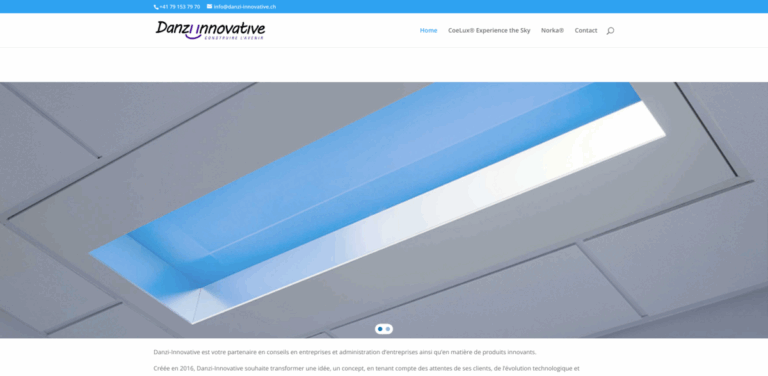 Danzi-Innovative: Transforming Ideas into Sustainable Business Solutions