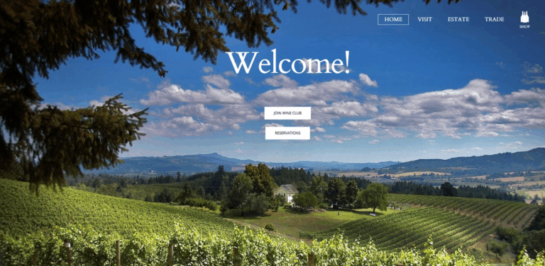 David Hill Vineyard & Winery: A Blend of Tradition and Innovation in Wine