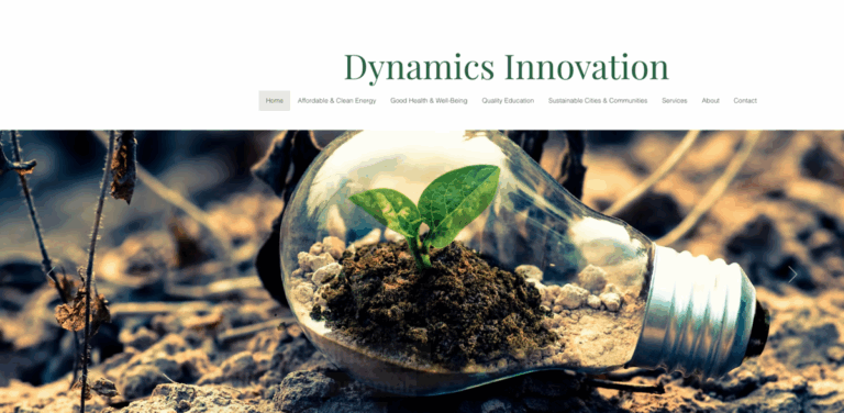 Dynamics Innovation: Building Sustainable Economies Through Consulting and Development