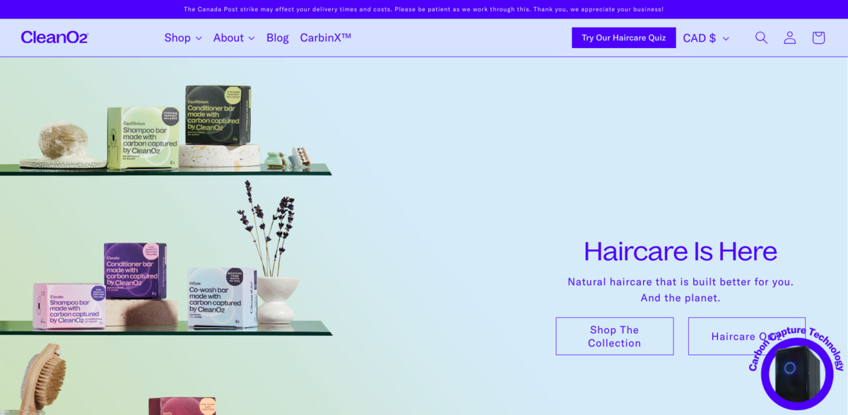 natural haircare sustainability