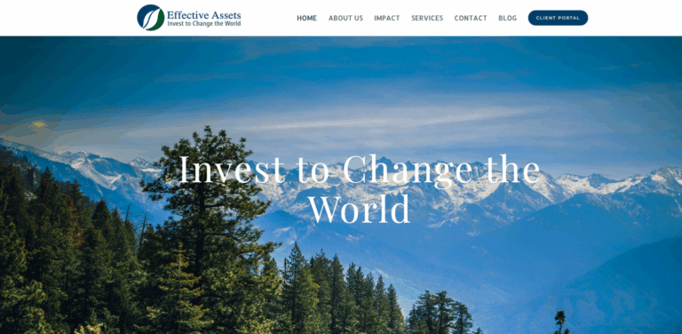 Effective Assets: Empowering Responsible Investors for Financial and Social Impact
