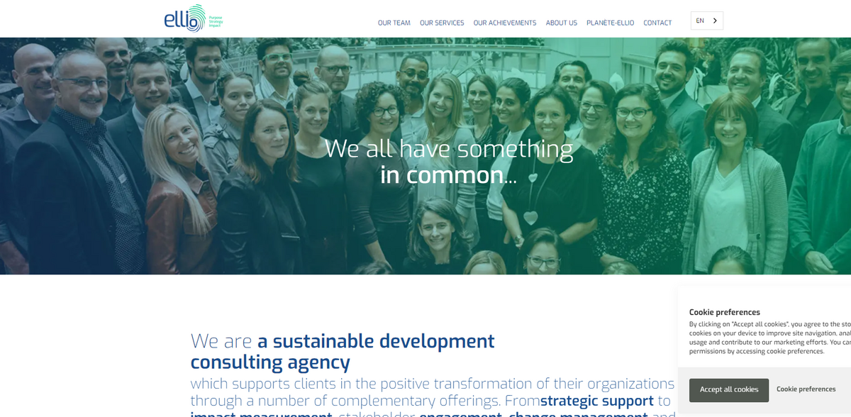 sustainable development consulting