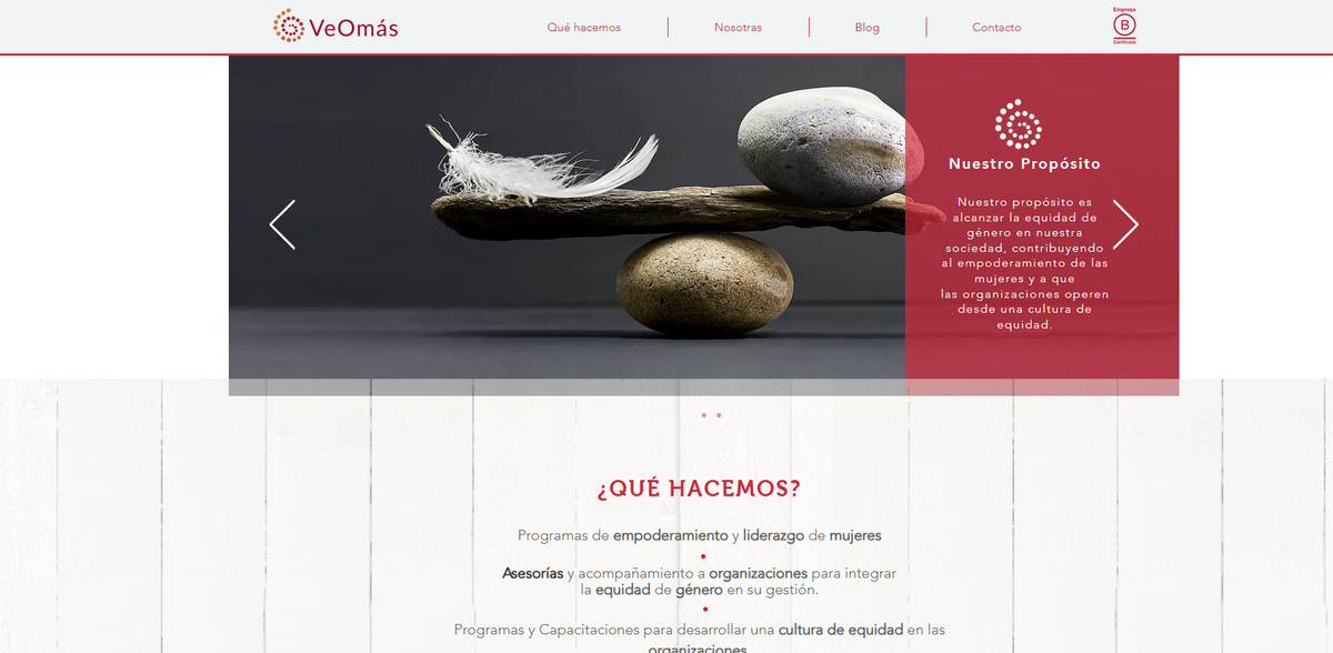 gender equity empowerment programs