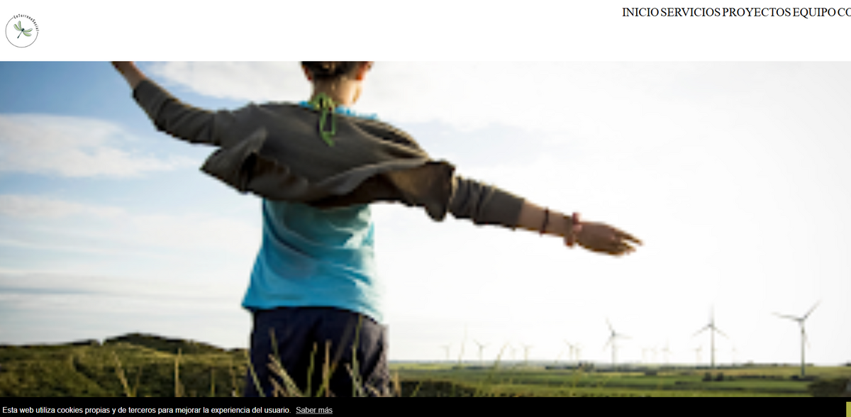 triple impact consulting