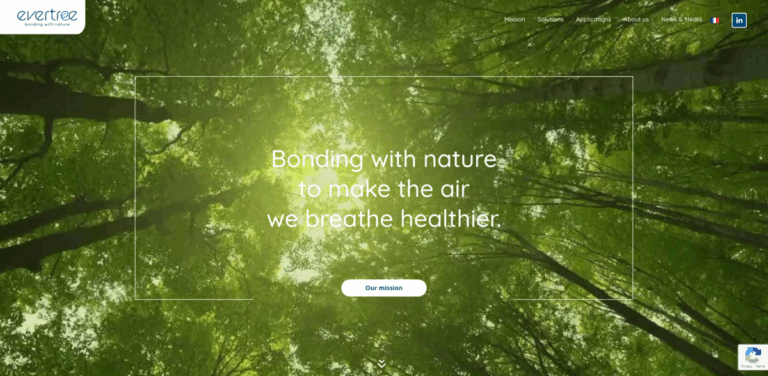 Evertree Project: Creating Healthier Air with Plant-Based Adhesives