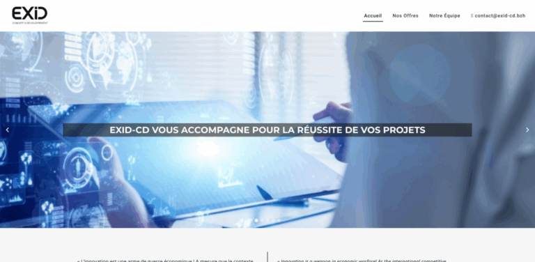 EXID-CD: Tailored Consulting for Project Success and Innovation