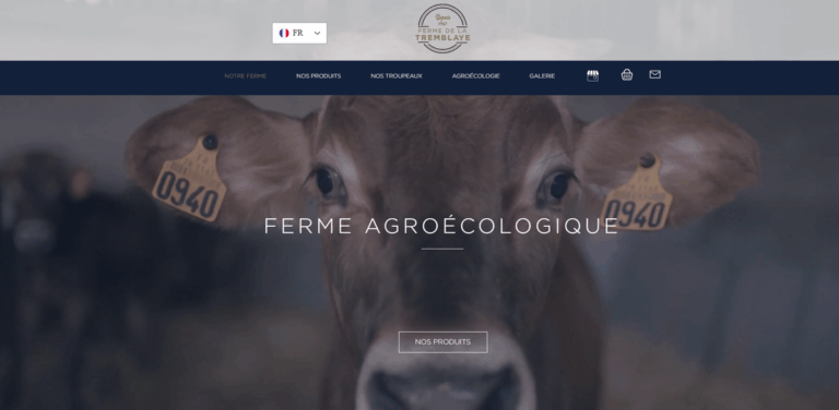 Ferme de la Tremblaye: Artisanal Farm Cheeses and Sustainable Practices