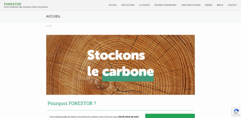 FORESTOR: A Sustainable Initiative for Carbon Reduction through Reforestation