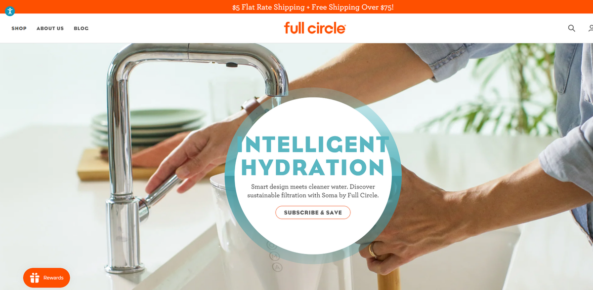 sustainable cleaning products