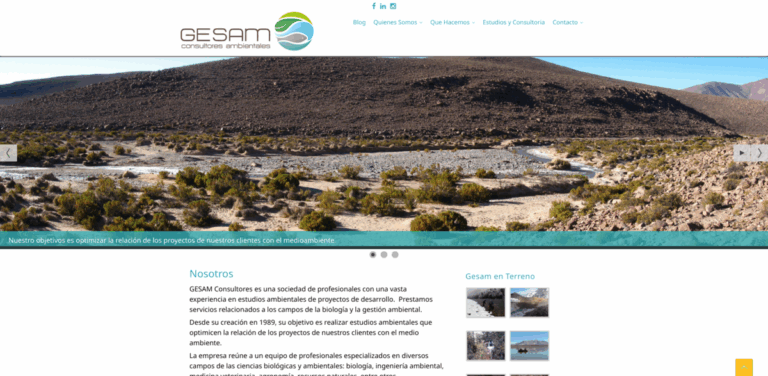 Gesam Consultores Ambientales: Expert Environmental Consulting for Sustainable Development