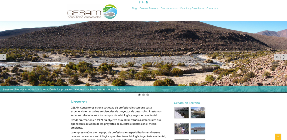 Environmental Consulting Chile