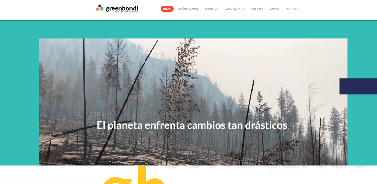 sustainability consulting