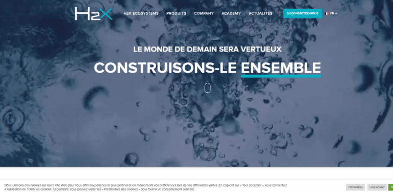 H2X-ECOSYSTEMS: Customized Energy Solutions for a Sustainable Future