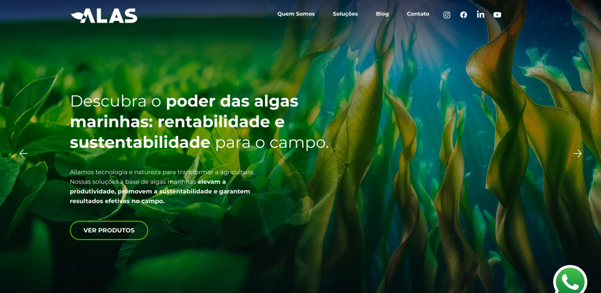 seaweed biofertilizer