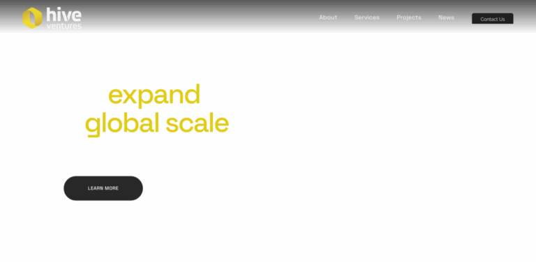 Hive Ventures: Scaling Innovation for Sustainable Development