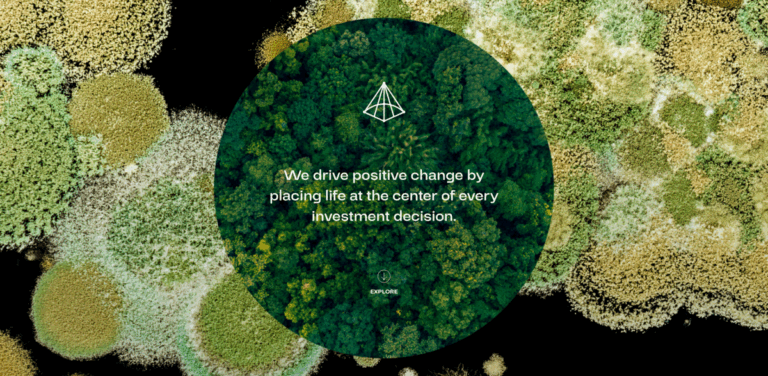 Impact Asset Management Firm: Driving Positive Change Through Sustainable Investments