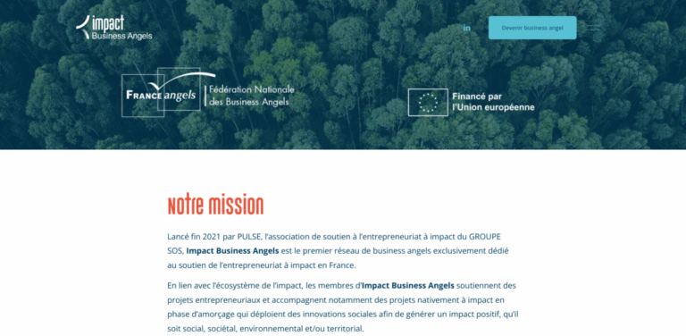 Impact Business Angels: Supporting Impact Entrepreneurship in France