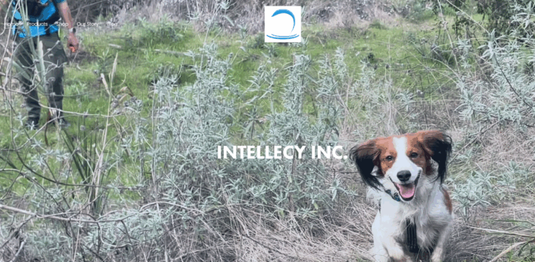 INTELLECY INC.: A Hub for Modern Design and Community Innovation