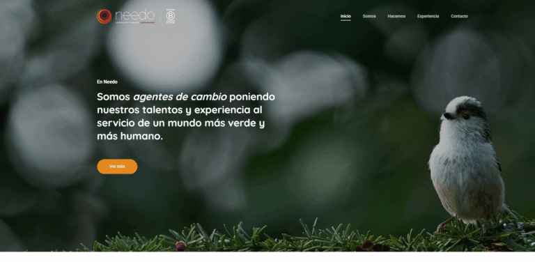 NEEDO: Consulting for Sustainable Management, Communication, and Education