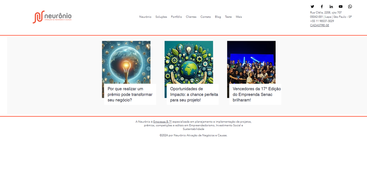 Neurônio Social Investment Sustainability