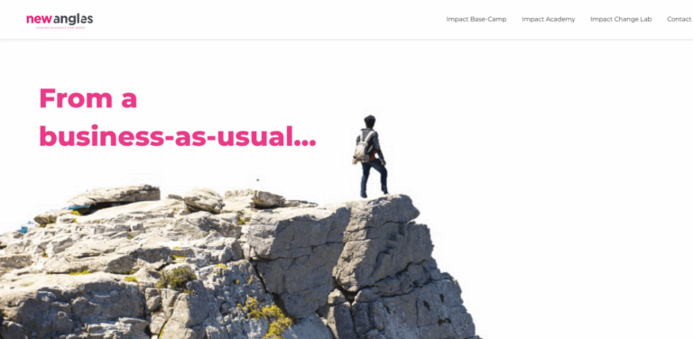 New Angles: Transforming Businesses for Regenerative Impact