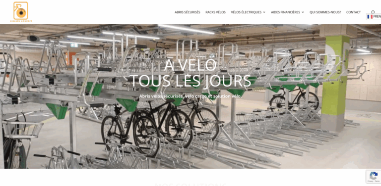 Nielsen Mobility: Delivering Inclusive Electric Mobility Solutions