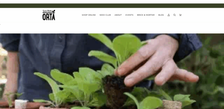 Orta Gardens: Sustainable Terracotta Seed Pots and Microgreen Kits