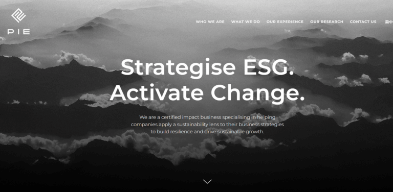 PIE Strategy: Impact-Driven Sustainability Consultancy for Businesses