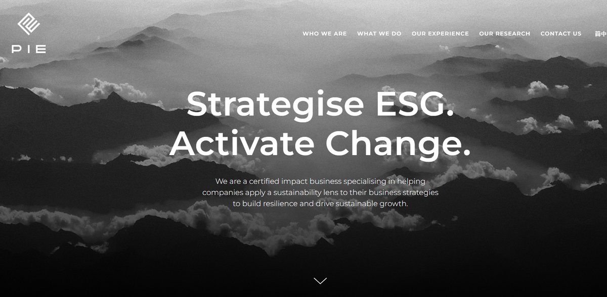 sustainability consultancy