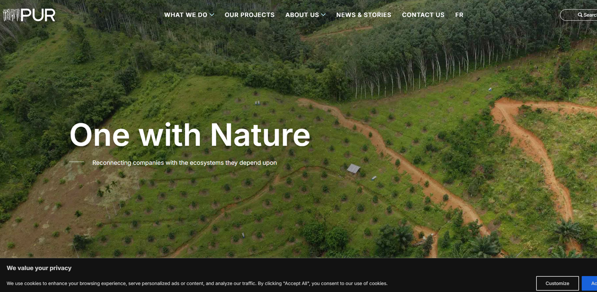 nature-based projects