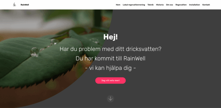 RainWell: Innovative Local Rainwater Treatment for Clean Drinking Water