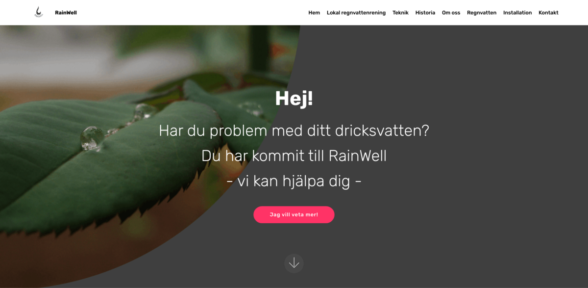 RainWell drinking water solution