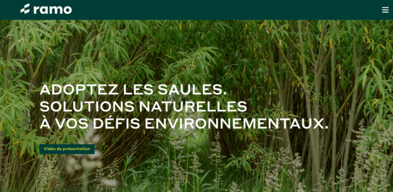 Ramo: Natural Solutions for Environmental Challenges through Willow Plantations