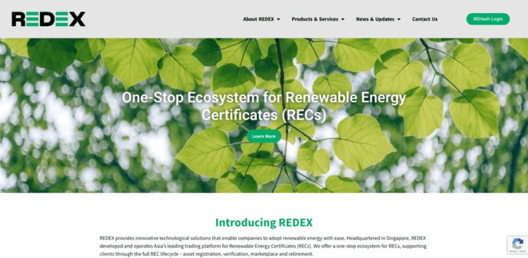 REDEX: Simplifying Renewable Energy Adoption Through Innovative Solutions