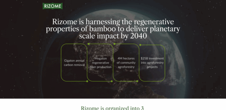 Rizome: Harnessing Bamboo for Sustainable Climate Solutions