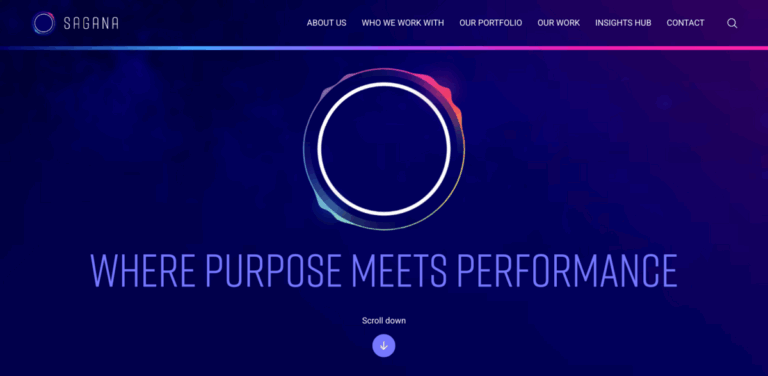 Sagana: Impact Advisory Firm Enhancing Human and Planetary Health