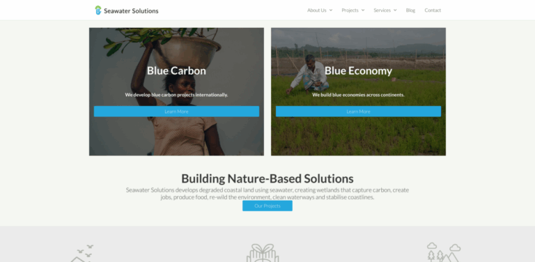 Seawater Solutions: Transforming Coastal Communities Through Sustainable Agriculture