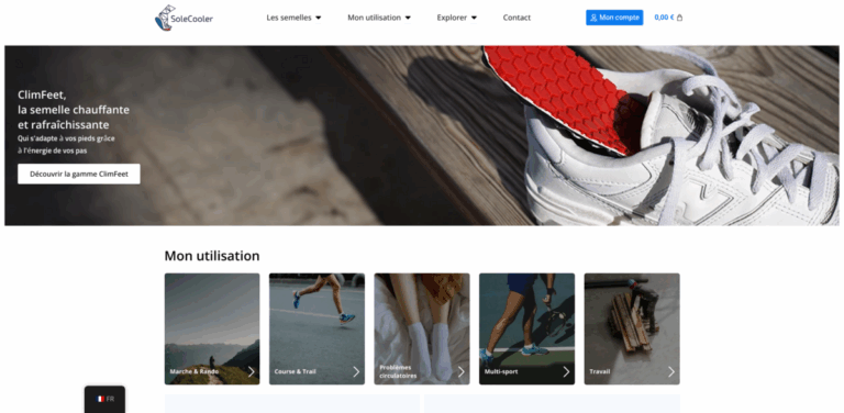 Solecooler: Innovative Heating and Cooling Insoles for Foot Comfort