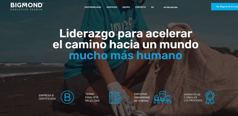 Sustainable Executive Search by [Company Name]: Elevating Leadership with ESG Standards