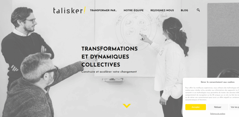 Talisker Consulting: Empowering Organizations Through Sustainable Transformation