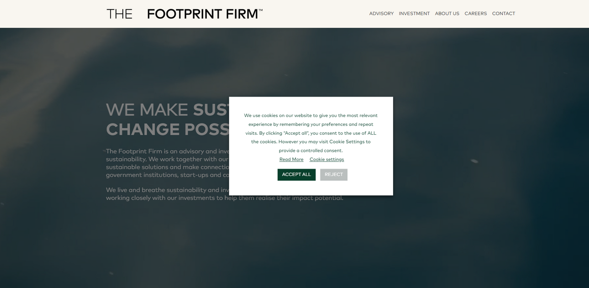 sustainable investment advisory