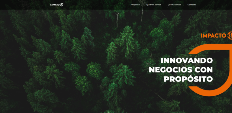 Triple Impact Consulting: Accelerating Sustainable Business Integration