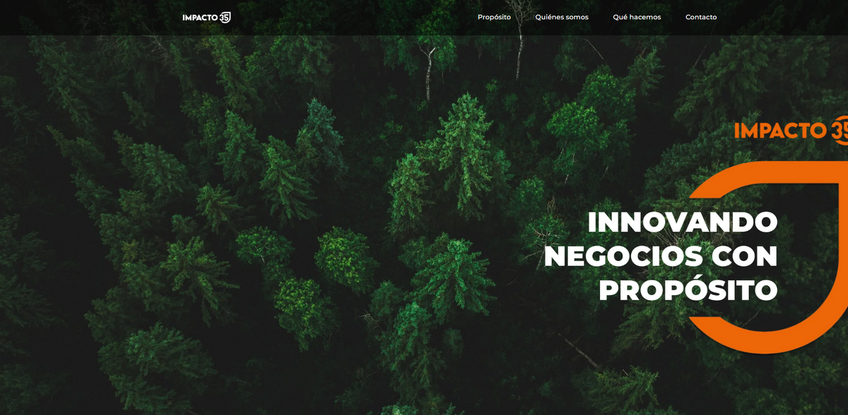 triple impact consulting