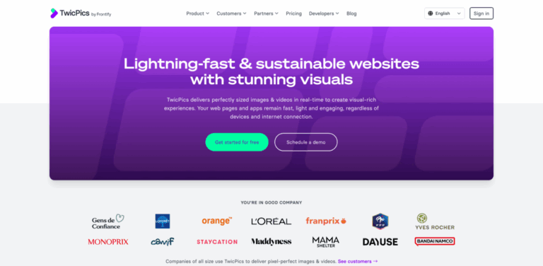 TwicPics: Real-Time Image and Video Optimization for Fast Web Experiences