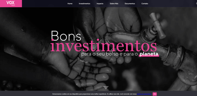 VOX Capital: Transforming Investments for Social and Environmental Impact