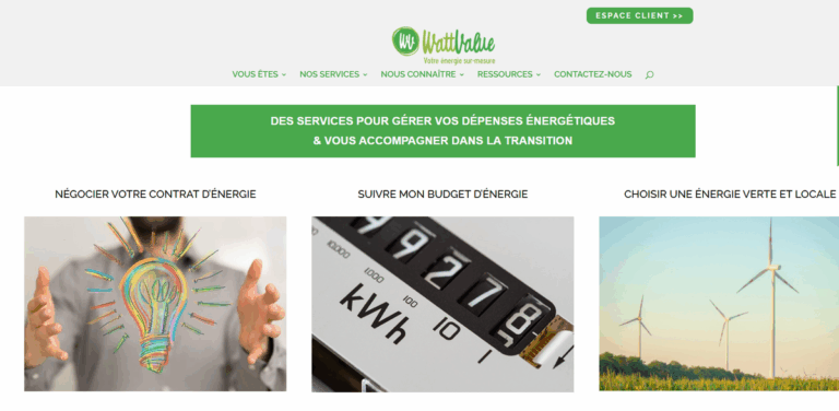 WattValue: Simplifying Group Energy Purchases and Renewable Solutions for Professionals