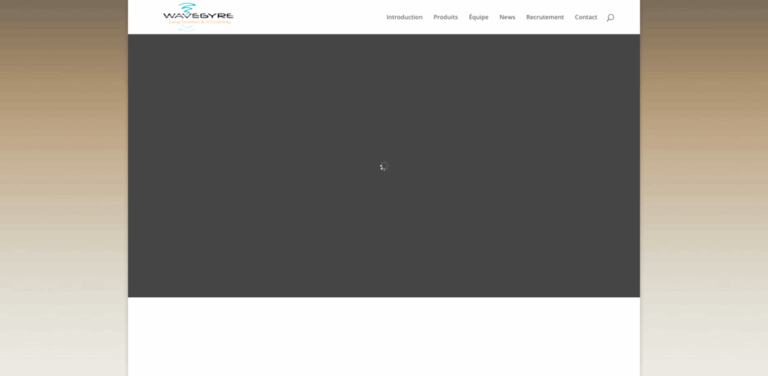 WAVEGYRE: Dynamic Efficiency Induction Charging for Electric Vehicles