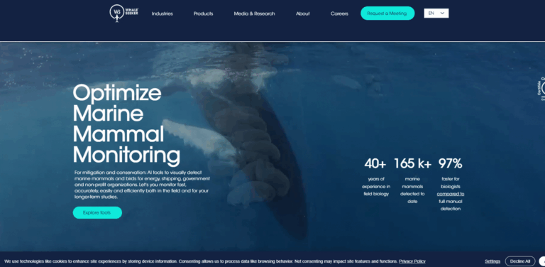 Whale Seeker Project: Advanced AI Solutions for Marine Monitoring