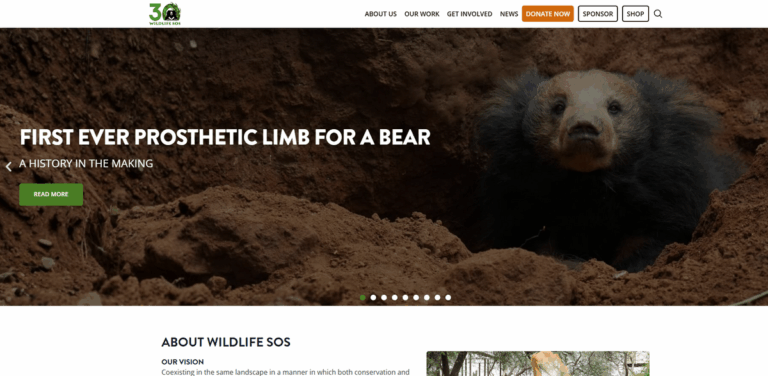 Wildlife SOS: Protecting India’s Wildlife and Promoting Conservation